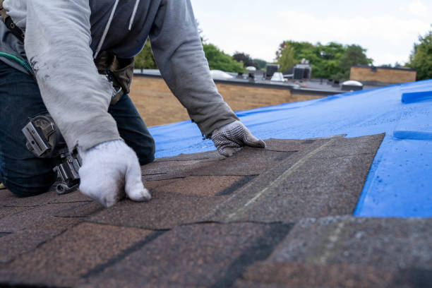 Reliable Waverly, IA Roofing Contractor Solutions