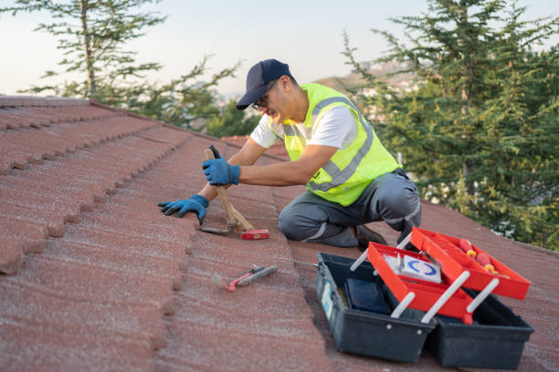 Best Roof Gutter Cleaning  in Waverly, IA